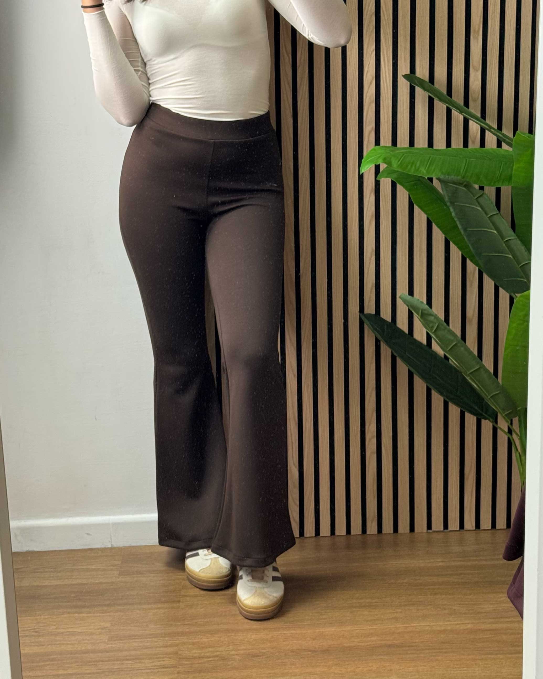 Pant Zampa Rox Cacao